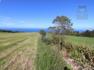 Acheter Terrain Ponta-delgada rgion MADEIRA