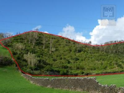 Acheter Terrain 29960 m2 Ponta-delgada