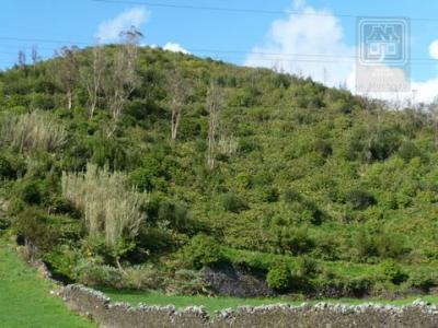 Acheter Terrain Ponta-delgada rgion MADEIRA