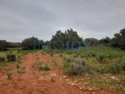 Annonce Vente Terrain Silves