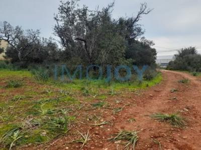 Acheter Terrain 23711 m2 Silves