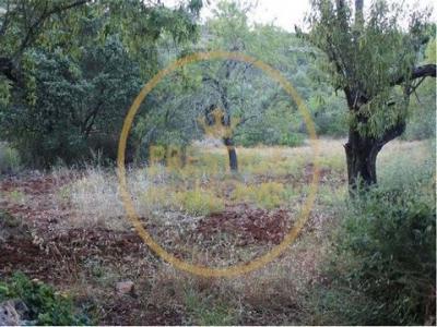 Acheter Terrain 750 m2 Loule