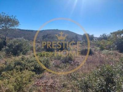 Acheter Terrain 12452 m2 Loule