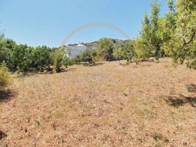 Acheter Terrain 53 m2 Loule