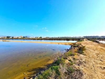 Acheter Terrain Olhao rgion FARO