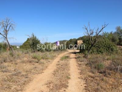 Annonce Vente Terrain Albufeira