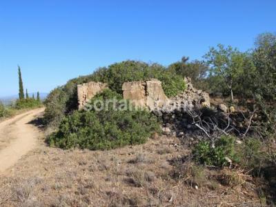 Acheter Terrain Albufeira