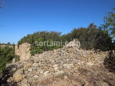 Acheter Terrain Albufeira rgion FARO