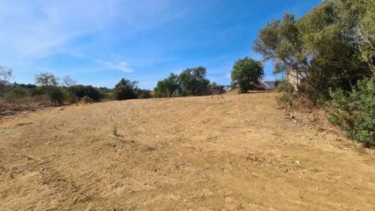 Acheter Terrain 9800 m2 Olhao