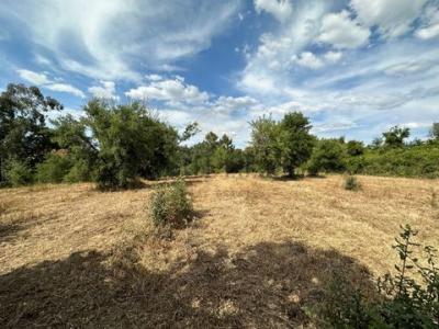 Acheter Terrain 150 m2 Setubal