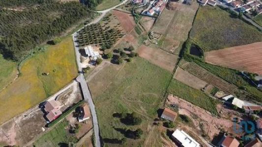 Acheter Terrain 4600 m2 Campelos