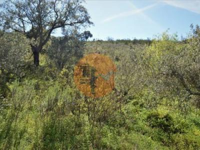 Acheter Terrain 27300 m2 Tavira