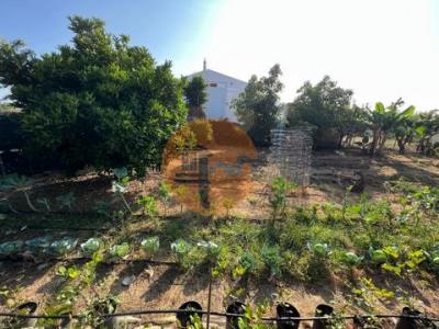 Acheter Maison 229 m2 Tavira