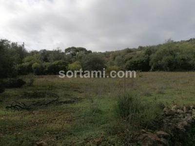 Annonce Vente Terrain Loule