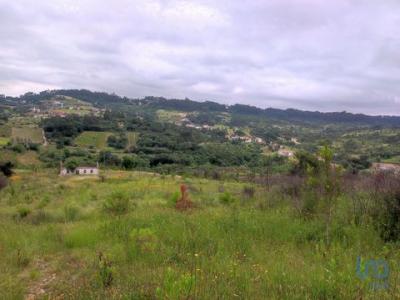 Acheter Terrain 116 m2 Leiria