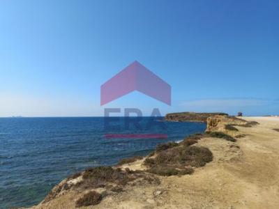 Acheter Terrain 8000 m2 Peniche