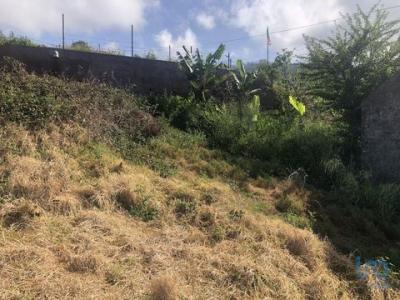 Annonce Vente Terrain Ponta-do-sol