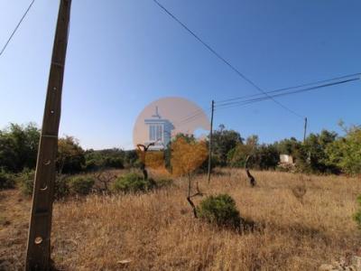 Acheter Terrain Faro rgion FARO