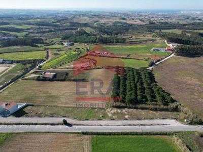 Acheter Terrain 141 m2 Peniche