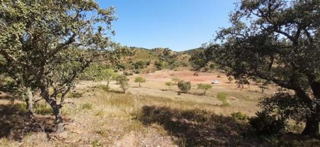 Annonce Vente Terrain Loule