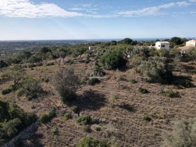 Annonce Vente Terrain Loule