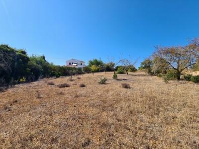 Acheter Terrain 2120 m2 Olhao