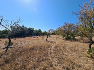 Acheter Terrain Olhao rgion FARO