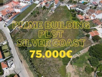 Annonce Vente Terrain Alcobaca