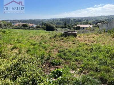 Acheter Terrain 4000 m2 Alcobaca