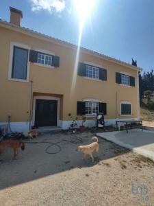 Acheter Maison 900 m2 Santarem