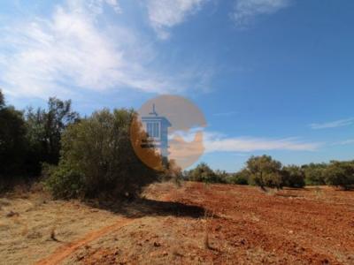 Annonce Vente Terrain Loule