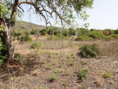 Acheter Terrain 4480 m2 Olhao