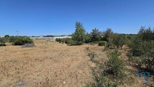 Annonce Vente Terrain Olhao