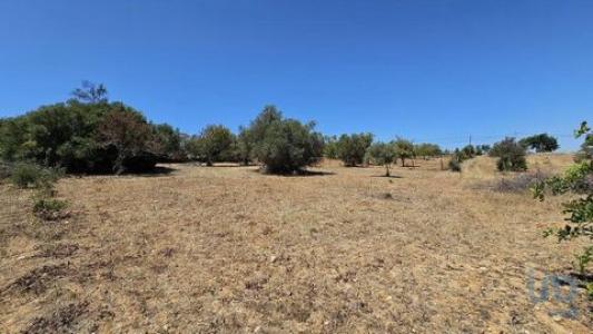 Acheter Terrain 1480 m2 Olhao