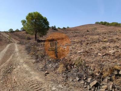 Acheter Terrain Castro-marim rgion FARO