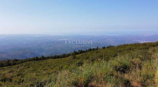 Vente Terrain Monchique  08 au Portugal