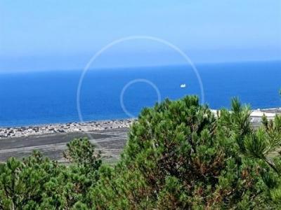 Annonce Vente Terrain Nazare