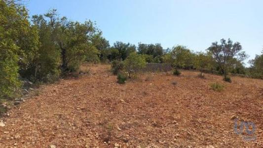 Annonce Vente Terrain Loule