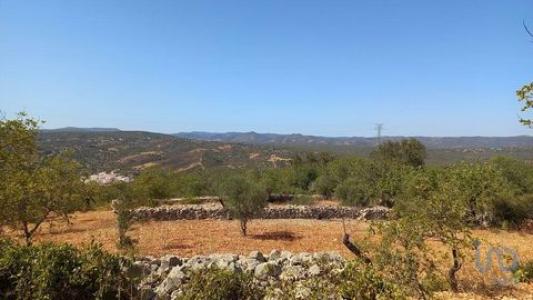 Acheter Terrain 5560 m2 Loule