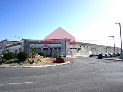 Annonce Vente Local industriel Peniche