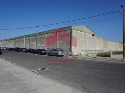 Acheter Local industriel 4982 m2 Peniche