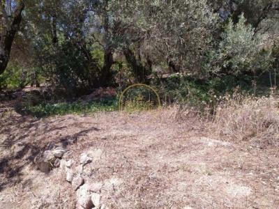 Acheter Terrain 1750 m2 Loule