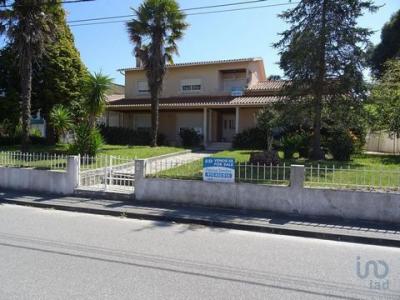 Annonce Vente Maison Agua-formosa