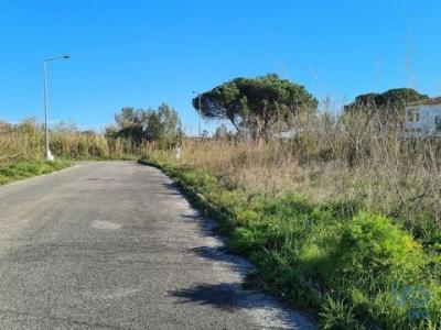 Acheter Terrain A-dos-negros rgion LEIRIA