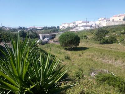 Acheter Terrain 6240 m2 Lourinha