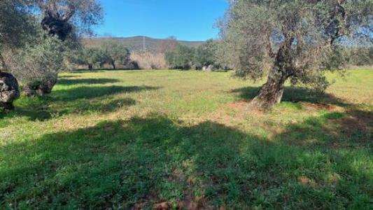 Acheter Terrain 109 m2 Loule