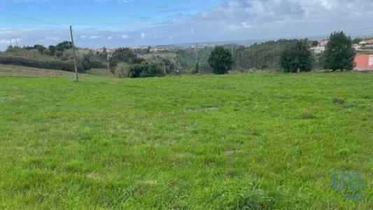 Annonce Vente Terrain Alcobaca