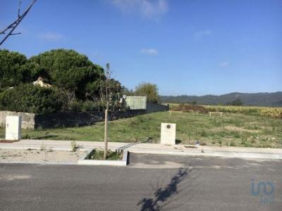 Annonce Vente Terrain Esposende