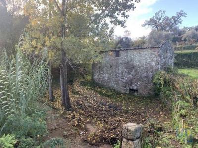 Annonce Vente Maison Figueiro-dos-vinhos