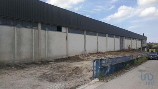 Louer Local commercial 2622 m2 Ansiao
